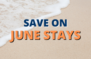 Hilton Head Discounts